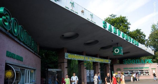 Две трети суммы на реконструкцию Киевского зоопарка выделят из бюджета 