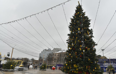 В Киеве украсили главную новогоднюю елку страны
