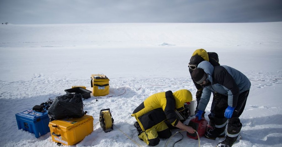 Ученые показали подводный мир Антарктиды
