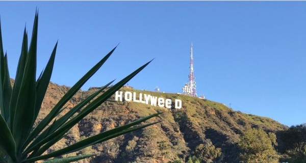 В США вандалы испортили знаменитую надпись Hollywood
