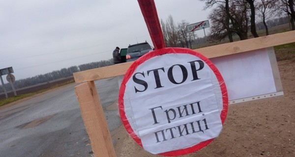 В двух областях Украины обнаружили птичий грипп