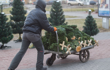 Где в Киеве сдать новогоднюю елку