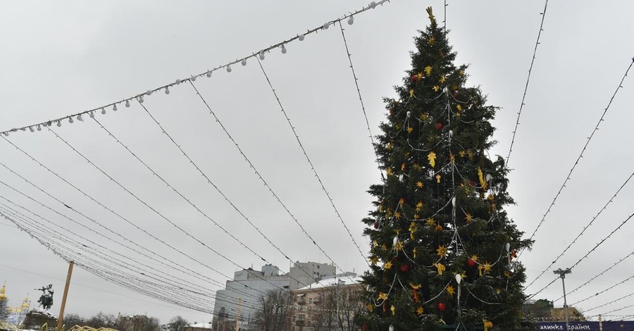 Главную елку Украины распилят на кубики