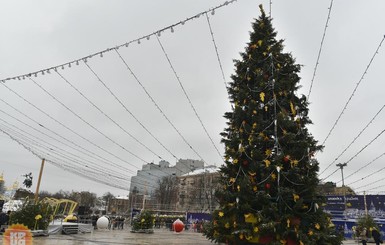 Главную елку Украины распилят на кубики