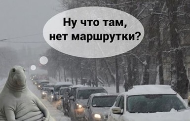 Фотожабы на снегопад в Киеве: как в соцсети шутят над снежным коллапсом