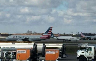 В США пассажирский самолет врезался в оленя