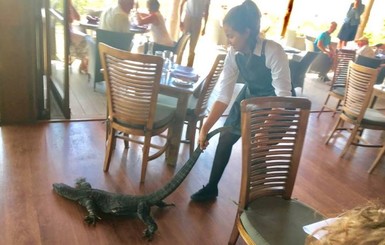 Бесстрашная официантка вытащила за хвост двухметрового варана из ресторана