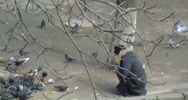 Соцсети обсуждают фото, на котором голодная одесситка отбирает у голубей хлеб 