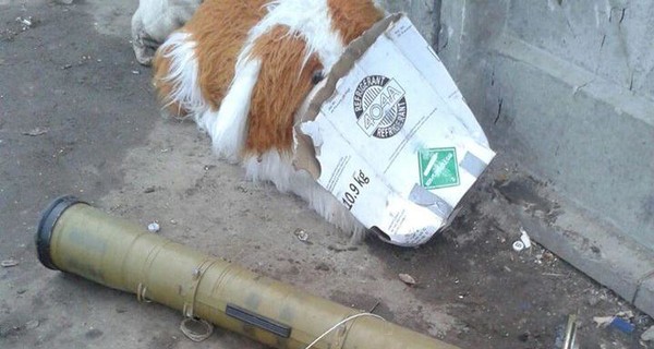 На мусорке в Житомире нашли корпус от гранатомета