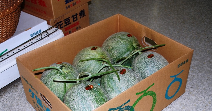 В Японии продали дыню необычного сорта за 350 тысяч гривен