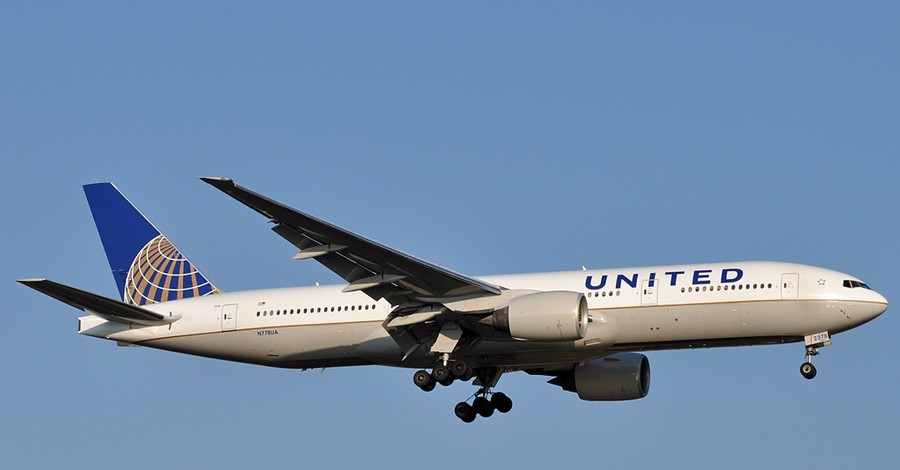 Скорпион ужалил пассажира во время еды на борту самолета скандальной United Airlines
