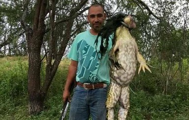 В США охотник поймал лягушку-монстра весом 6 килограммов