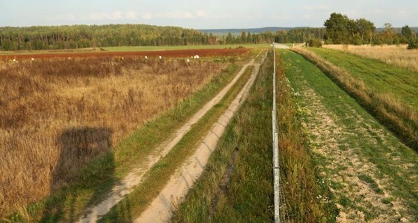 Литва начала строительство забора на границе с Россией