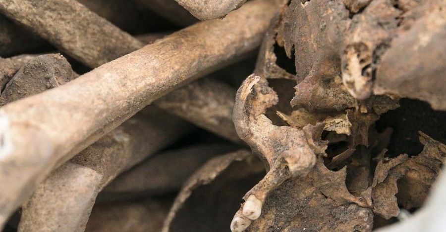 В Литве рядом с президентским дворцом нашли 9 мешков с человеческими костями
