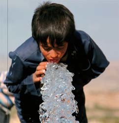 Черновецкий установит в детских садиках фильтры для воды 