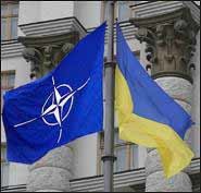Верховная Рада приступила к работе с проблемы НАТО 