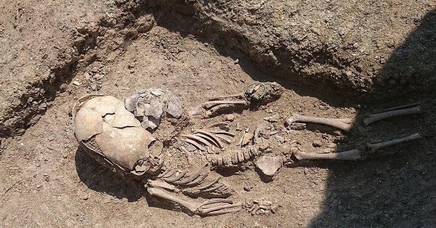 В Крыму нашли древний скелет ребенка с насильно вытянутым черепом
