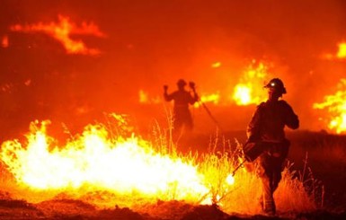 Сицилийские пожарные сами поджигали лес ради 10 евро в час 