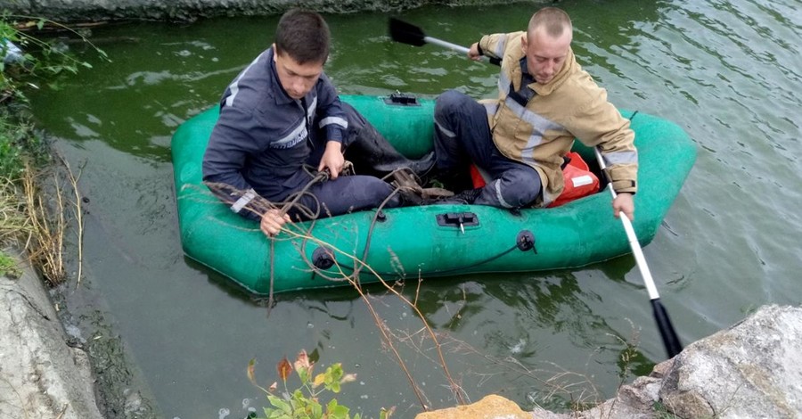 В Кировоградской области в пруду утонули двое детей, их бабушка и ее сожитель 