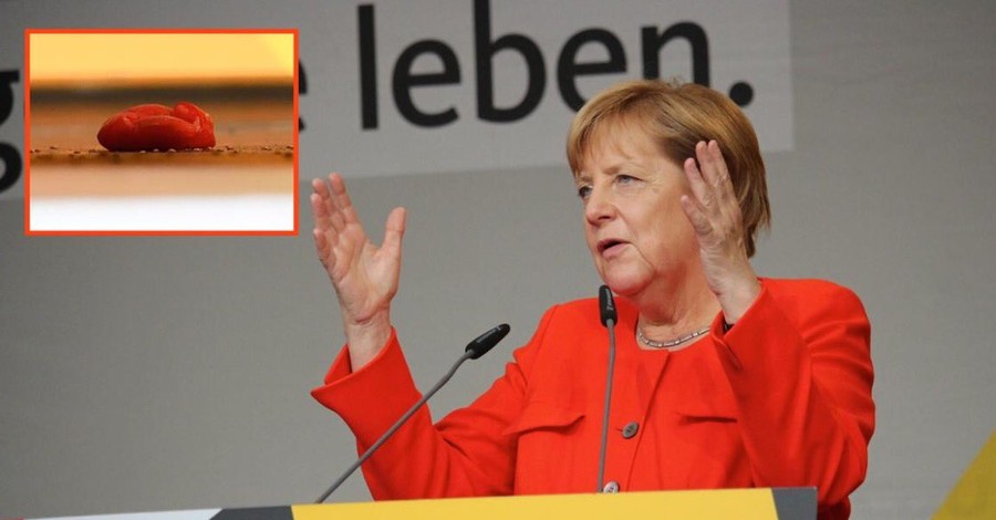 Ангелу Меркель закидали помидорами на встрече с избирателями