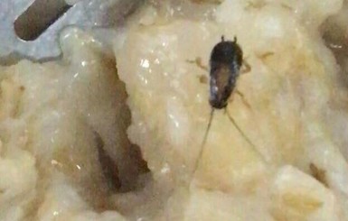 Матиос: в Харькове в столовой будущих летчиков в еде нашли тараканов и червей