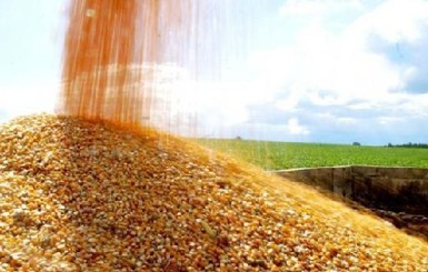 Украина за пять дней исчерпала квоты на экспорт пшеницы в ЕС