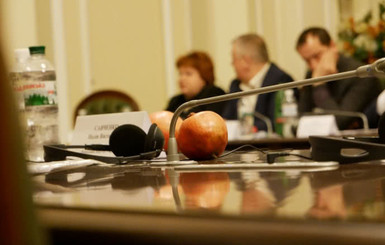 Савченко принесла на комитет Рады гранаты: 