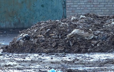 Заводы по утилизации органических отходов не справляются со своими задачами, – СМИ