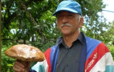 В Волынской области нашли гриб весом в полтора килограмма