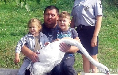 Полицейский из Шацка выходил больного лебедя