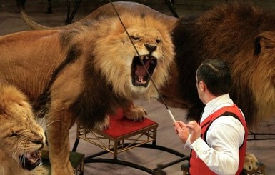 В России львица набросилась на ребенка во время циркового шоу 