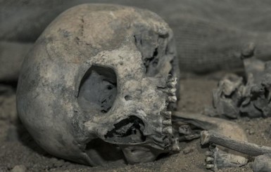 В посольстве Ватикана нашли человеческие кости