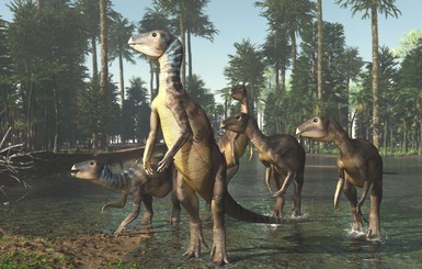 Австралийские опалы оказались останками неизвестного динозавра