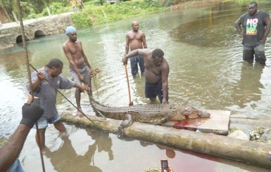 На Соломоновых островах крокодил загрыз взрослого мужчину