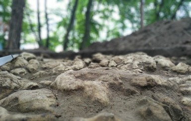 Мэр города Винники:  на горе Жупан  археологи обнаружили сенсационную находку