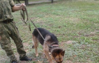 В Никополе служебная собака отыскала четырехлетнюю девочку