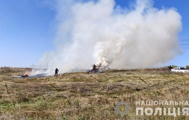 В Донецкой области сгорели более полумиллиона кустов конопли