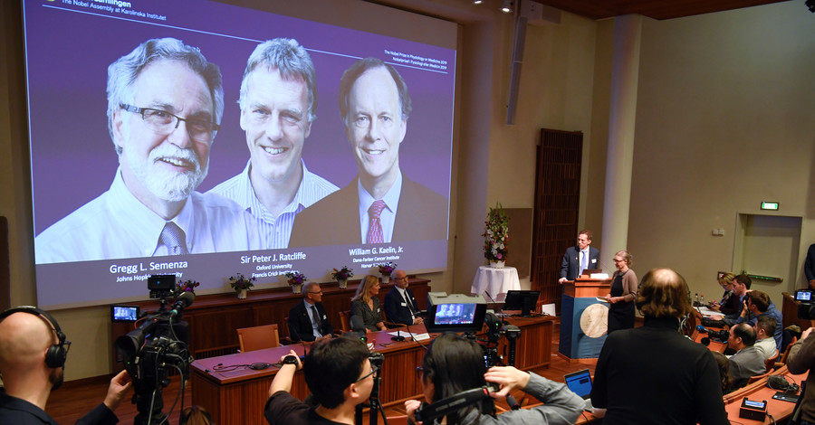 Нобелевскую премию по медицине-2019 дали трем ученым за кислород