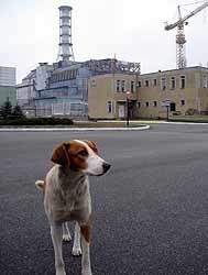 В Чернобыле построят «Музей человеческой ошибки» 