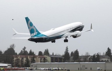 Следствие назвало причину авиакатастрофы Boeing 737 в Индонезии