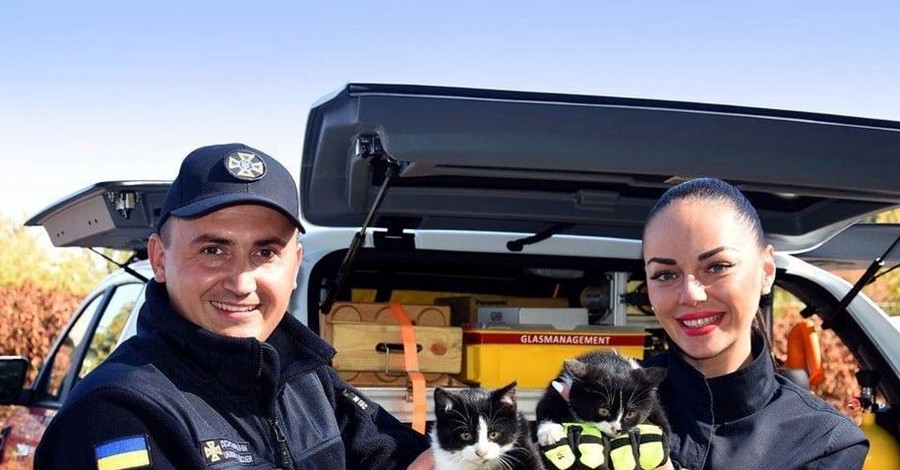 Котята кировоградских спасателей нашли новый дом