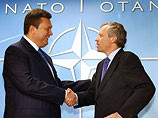 НАТО будет зазывать Януковича лично 