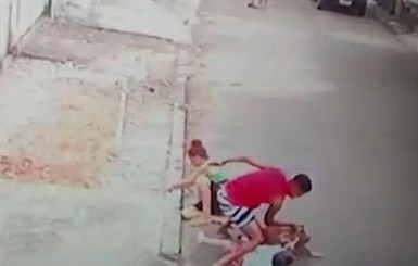 В Бразилии мужчина голыми руками отбил 4-летнего ребенка от питбуля