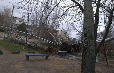 В нескольких городах Украины бушует ураган: падают деревья и разрушаются дома