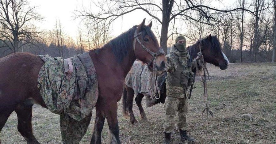 На Буковине конные всадники пытались вывезти сигареты в Румынию