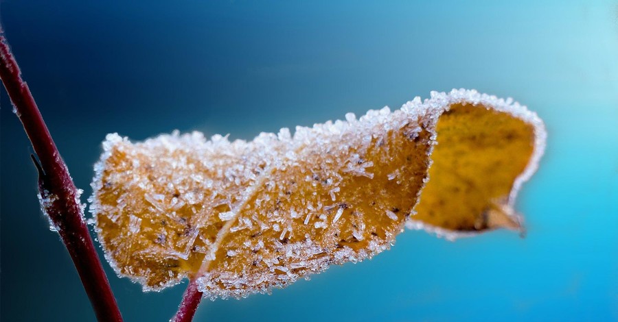 В Украине пообещали морозы до 14 градусов