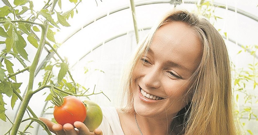 Время высаживать помидоры на грядки
