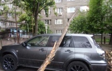 На Днепр, Запорожье и Синельниково обрушился крупный град, ветер повалил деревья