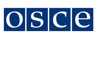 Миссия ОБСЕ в Донбассе опровергла коронавирус у своего сотрудника