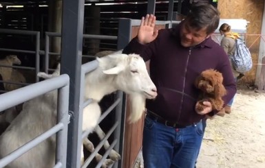 Богдан рассказал, почему обидел козу в киевском зоопарке